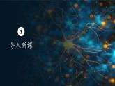 人教版生物高中必修一第6章 细胞的生命历程第三节 细胞的衰老和死亡 课件