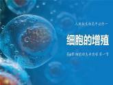 人教版生物高中必修一第6章 细胞的生命历程第一节 细胞的增殖 课件