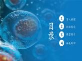 人教版生物高中必修一第6章 细胞的生命历程第一节 细胞的增殖 课件