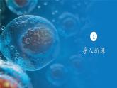 人教版生物高中必修一第6章 细胞的生命历程第一节 细胞的增殖 课件