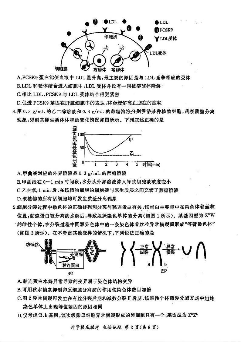 山东省百师联盟高三开学摸底联考（百S）+生物试题及答案02