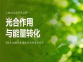 人教版生物高中必修一第5章 细胞的能量供应和利用第四节光合作用与能量转化 课件