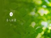人教版生物高中必修一第5章 细胞的能量供应和利用第四节光合作用与能量转化 课件