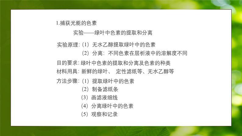 人教版生物高中必修一第5章 细胞的能量供应和利用第四节光合作用与能量转化 课件07