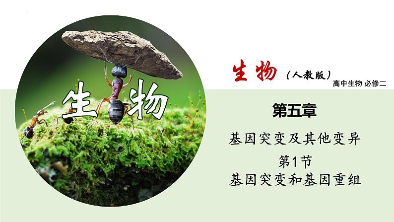 人教版（2019）高中生物必修二第五章第1节  基因突变和基因重组-课件第1页