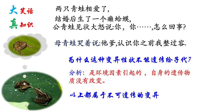 人教版（2019）高中生物必修二第五章第1节  基因突变和基因重组-课件第2页