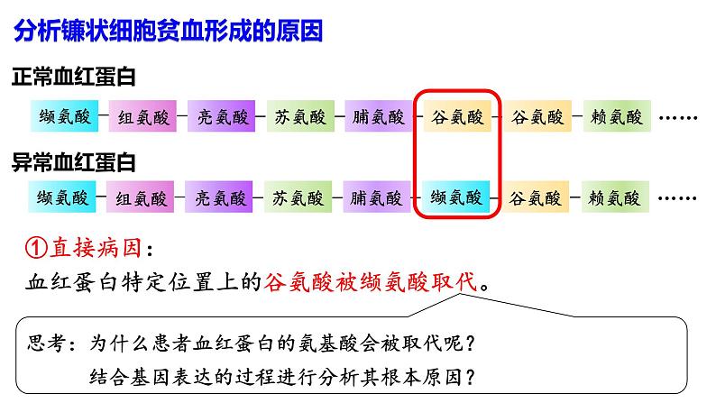 人教版（2019）高中生物必修二第五章第1节  基因突变和基因重组-课件第5页