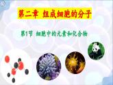 人教版（2019）高中生物必修一第二章第1节  细胞中的元素和化合物-课件