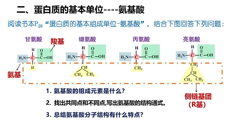 人教版（2019）高中生物必修一第二章第4节  蛋白质是生命活动的主要承担者-课件07