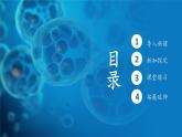 人教版生物高中必修一第5章 细胞的能量供应和利用第三节细胞呼吸的原理和应用 课件