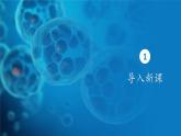 人教版生物高中必修一第5章 细胞的能量供应和利用第三节细胞呼吸的原理和应用 课件