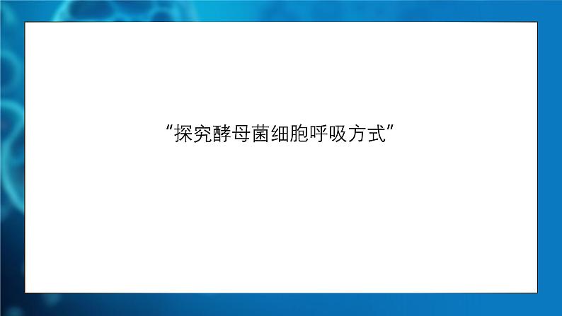 人教版生物高中必修一第5章 细胞的能量供应和利用第三节细胞呼吸的原理和应用 课件第6页