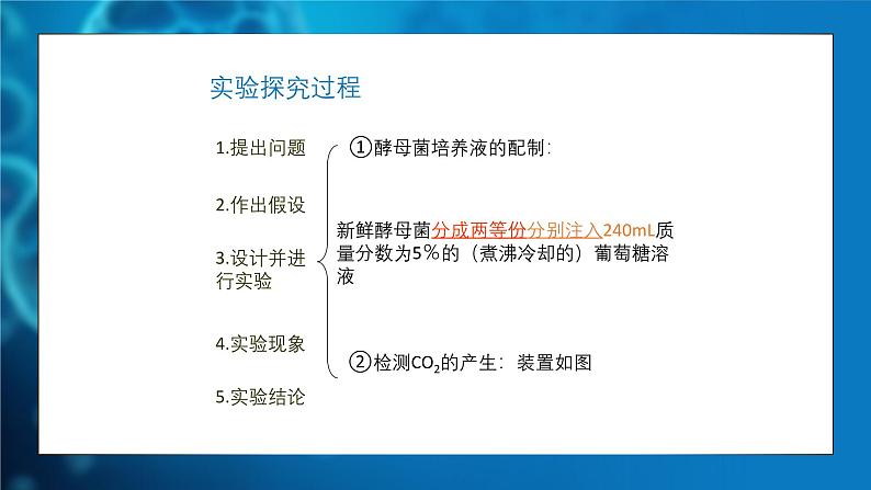 人教版生物高中必修一第5章 细胞的能量供应和利用第三节细胞呼吸的原理和应用 课件第8页