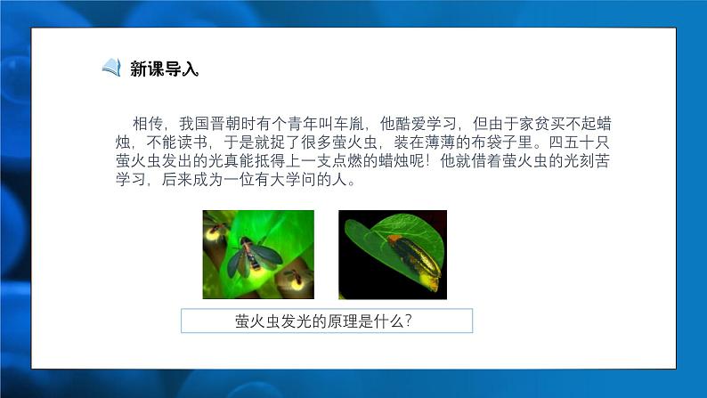 人教版生物高中必修一第5章 细胞的能量供应和利用 第二节细胞的能量“货币”—ATP 课件第4页