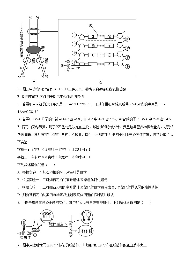 湖南省名校联盟2024-2025学年高二上学期入学考试生物试题（原卷版+解析版）03