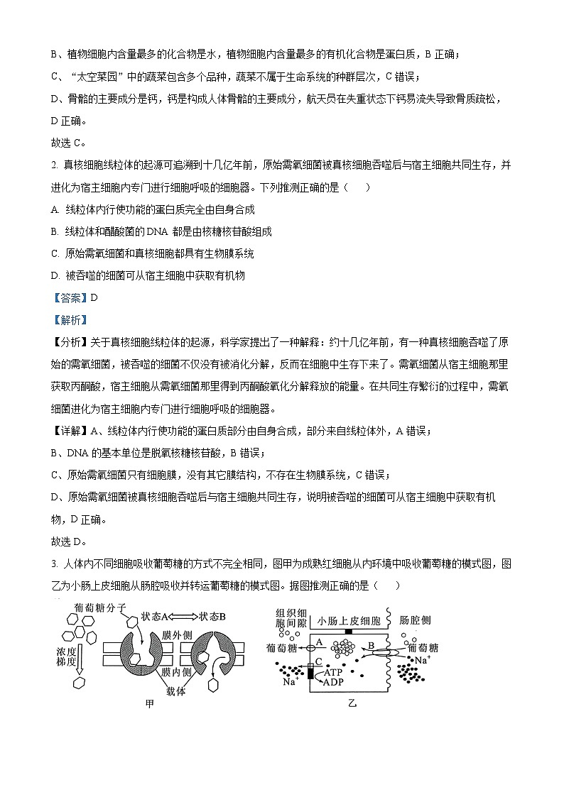 湖北省宜昌市等4地2024-2025学年高三上学期开学考试生物试题（原卷版+解析版）02