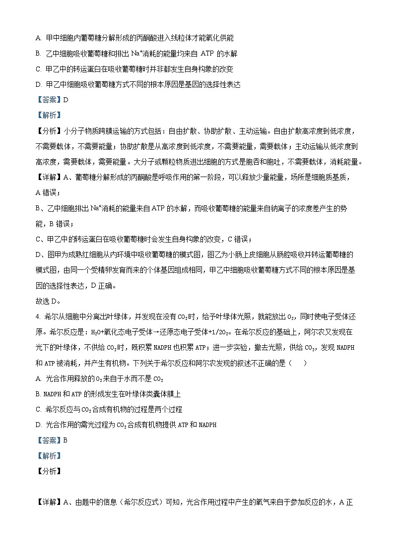 湖北省宜昌市等4地2024-2025学年高三上学期开学考试生物试题（原卷版+解析版）03
