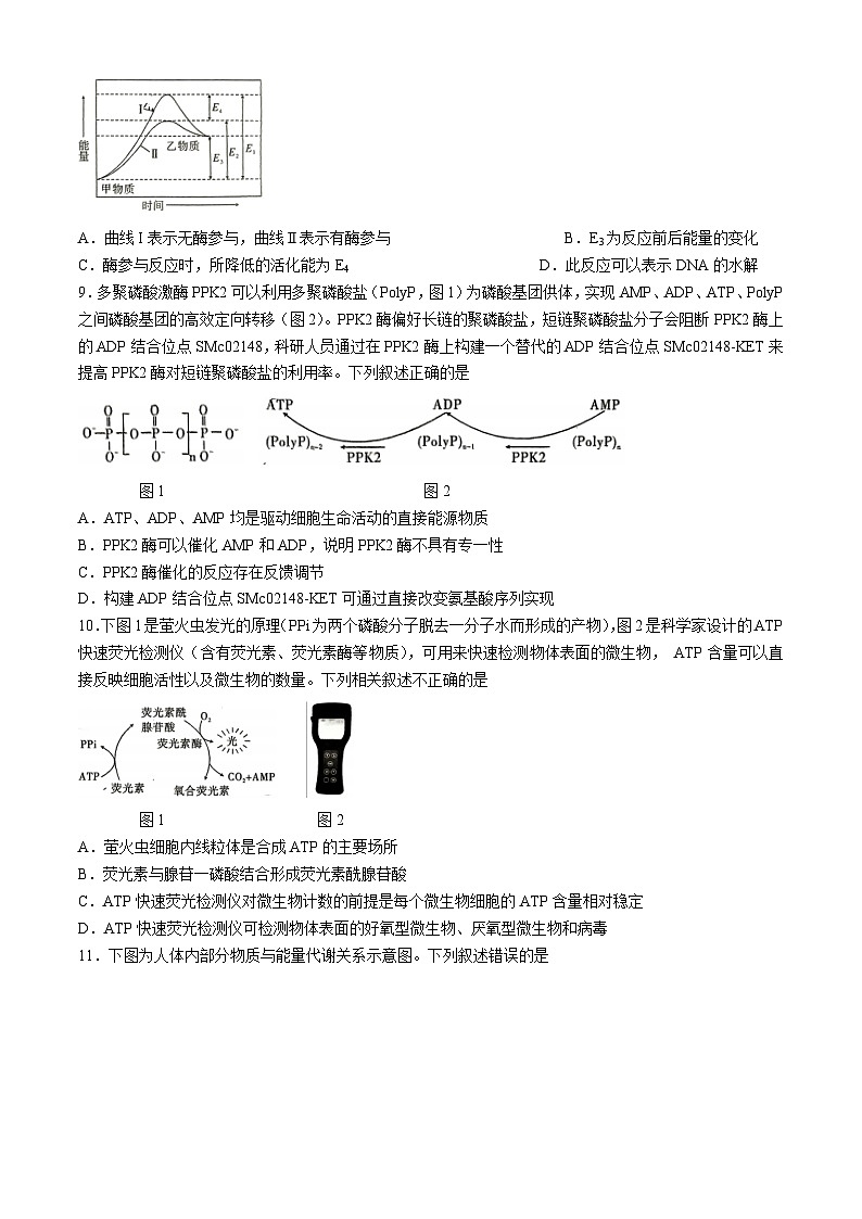 重庆市沙坪坝区南开中学校2024-2025学年高三上学期9月第一次质量检测生物试题第3页