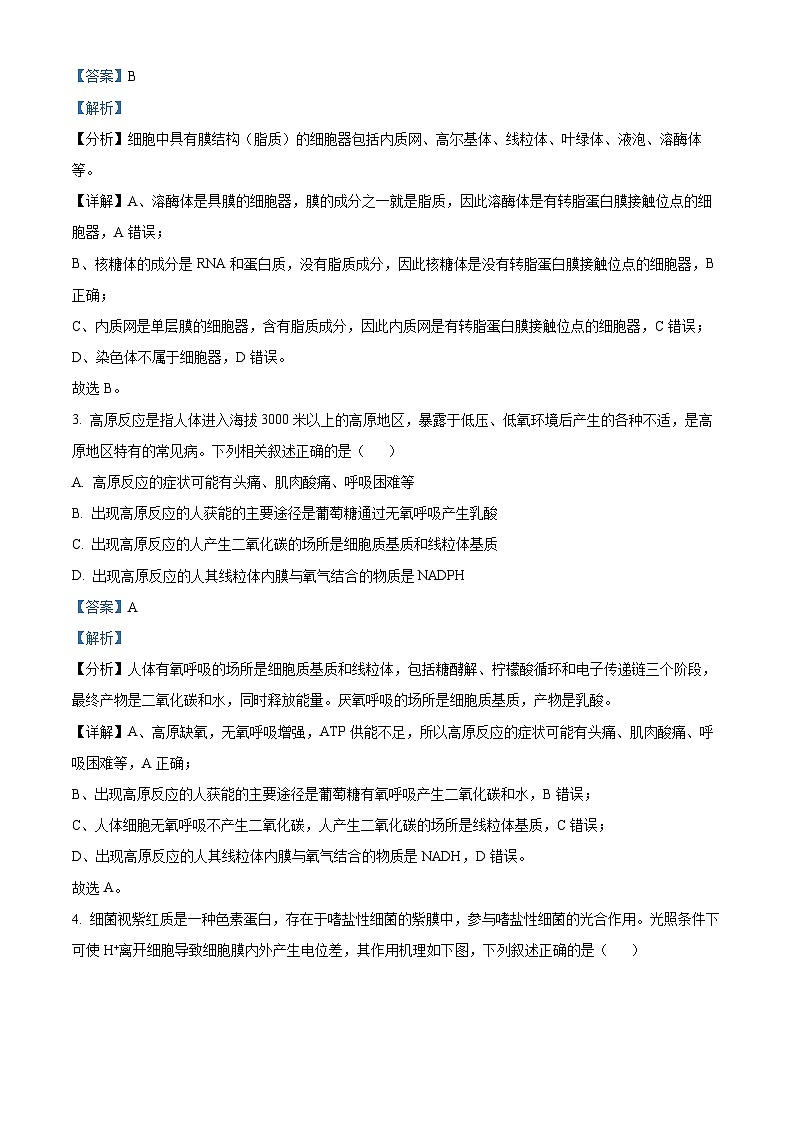湖南省名校联盟2024-2025学年高二上学期入学考试生物试题（解析版）第2页
