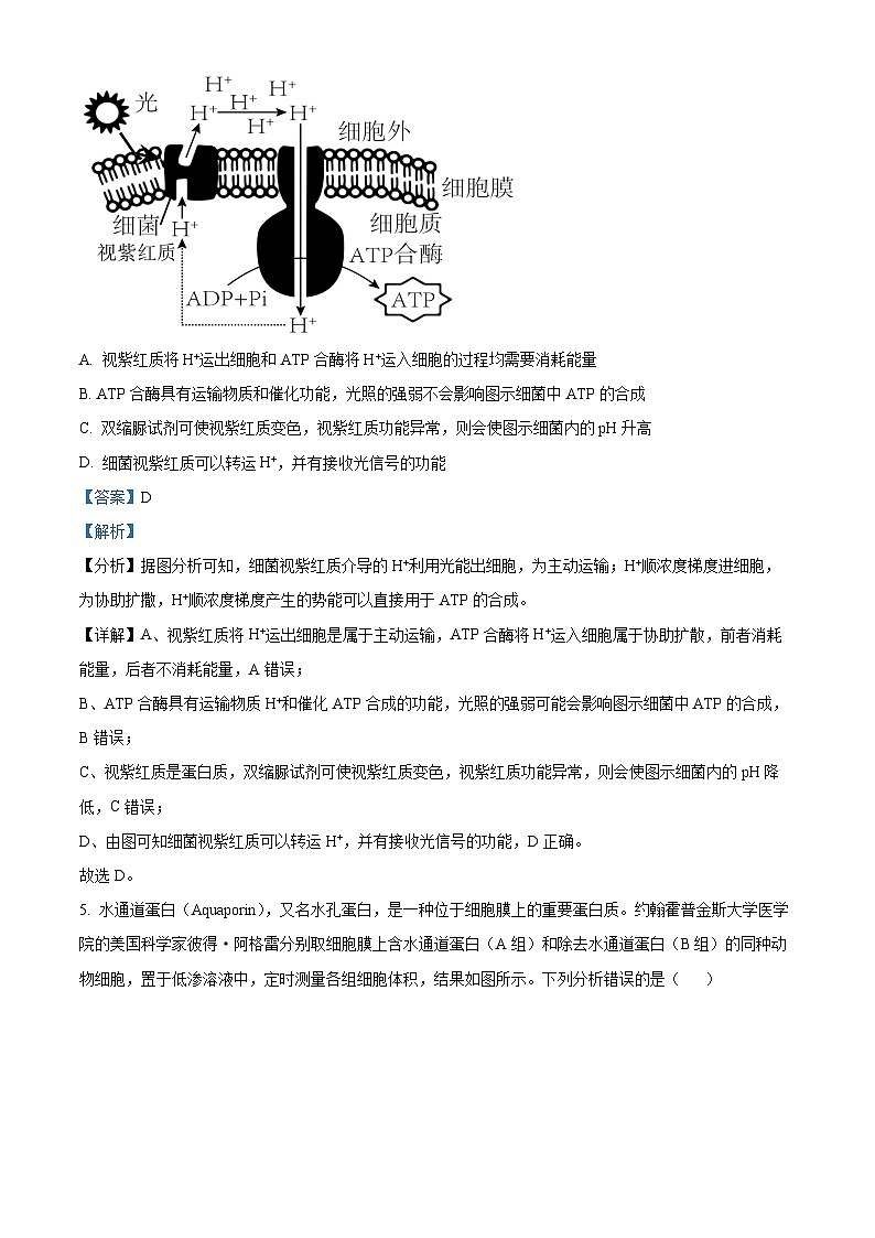 湖南省名校联盟2024-2025学年高二上学期入学考试生物试题（解析版）第3页