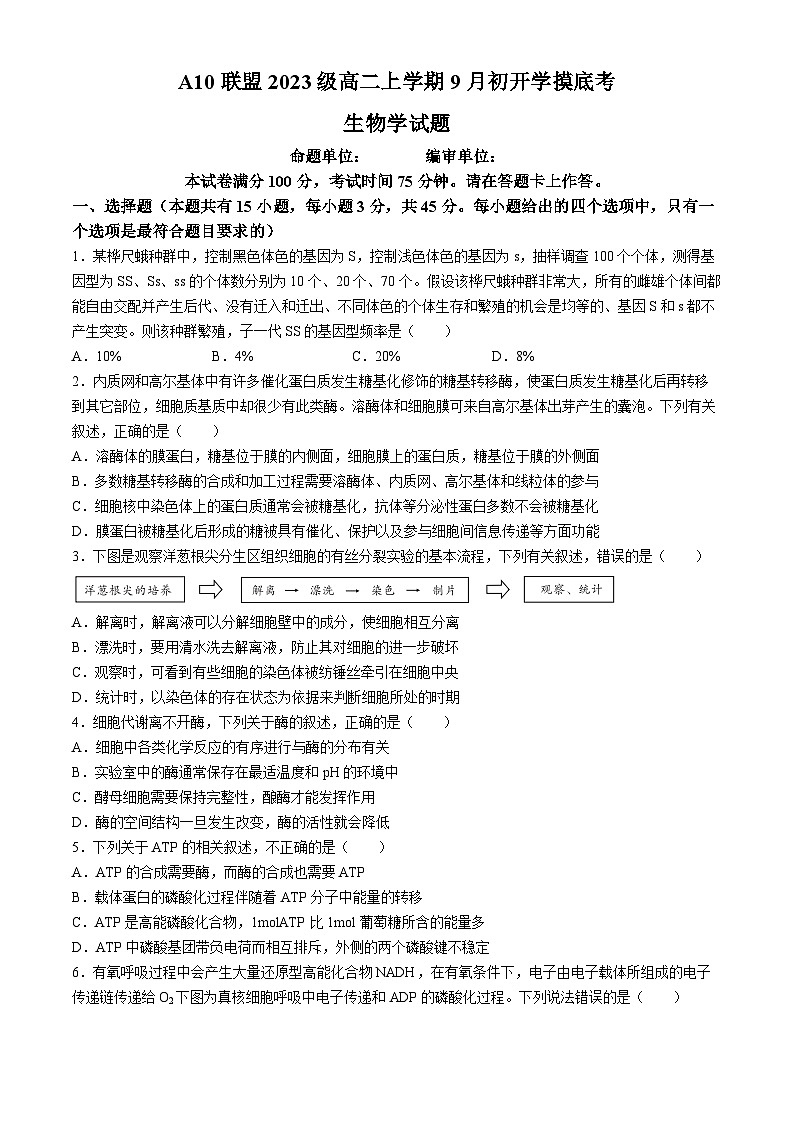 安徽省A10联盟2024-2025学年高二上学期9月初开学摸底考生物试题(无答案)第1页