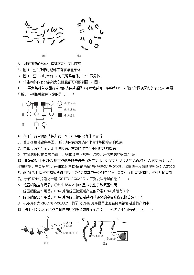 安徽省A10联盟2024-2025学年高二上学期9月初开学摸底考生物试题(无答案)第3页