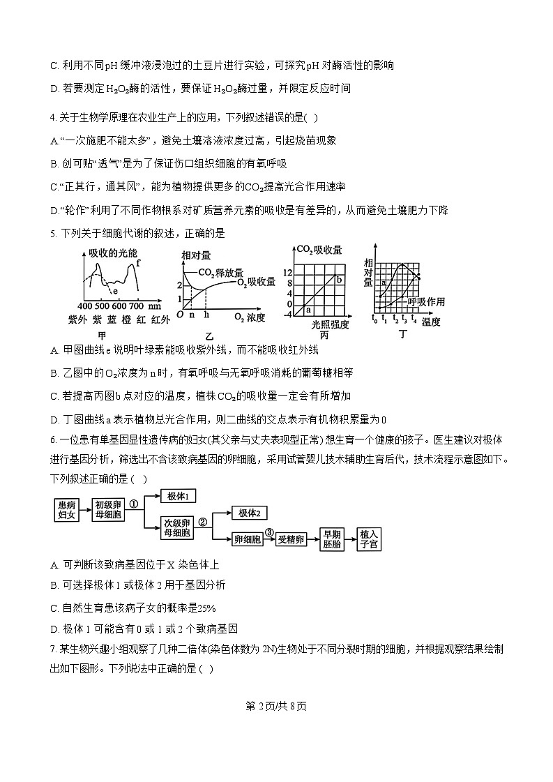 四川省成都市外国语学校2024-2025学年高三上学期开学考试生物试卷（Word版附答案）02