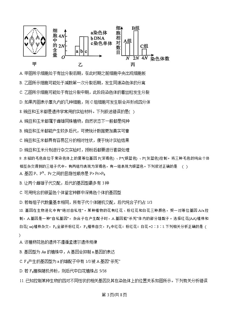 四川省成都市外国语学校2024-2025学年高三上学期开学考试生物试卷（Word版附答案）03