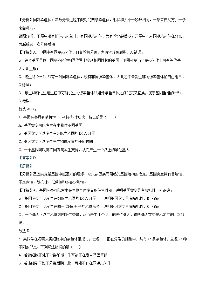 河北省邢台市信都区邢台市第一中学2024-2025学年高二上学期开学考试生物试题（解析版）第3页