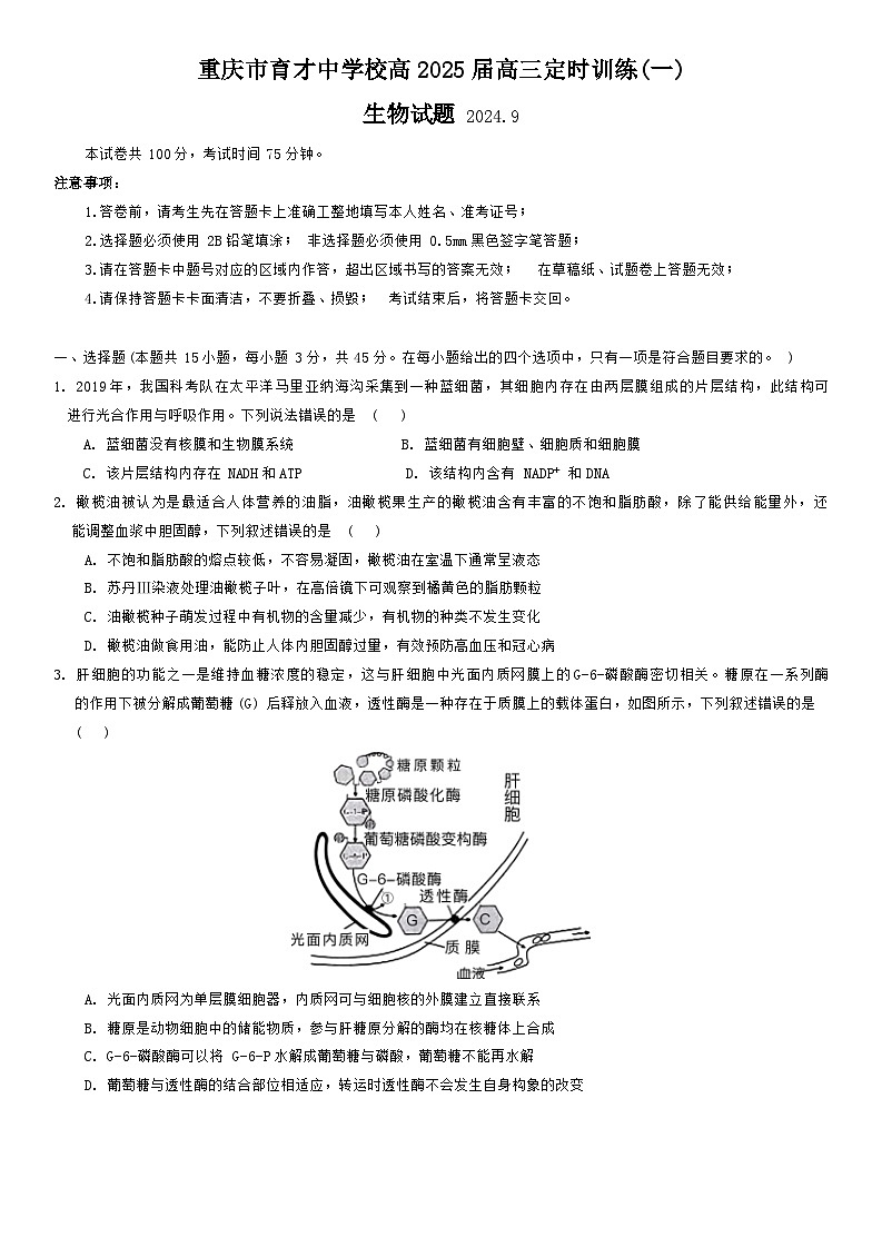 重庆市育才中学校2025届高三上学期开学考试生物试题 Word版无答案第1页