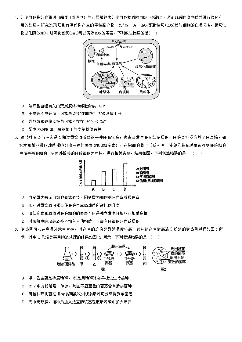 重庆市育才中学校2025届高三上学期开学考试生物试题 Word版无答案第2页