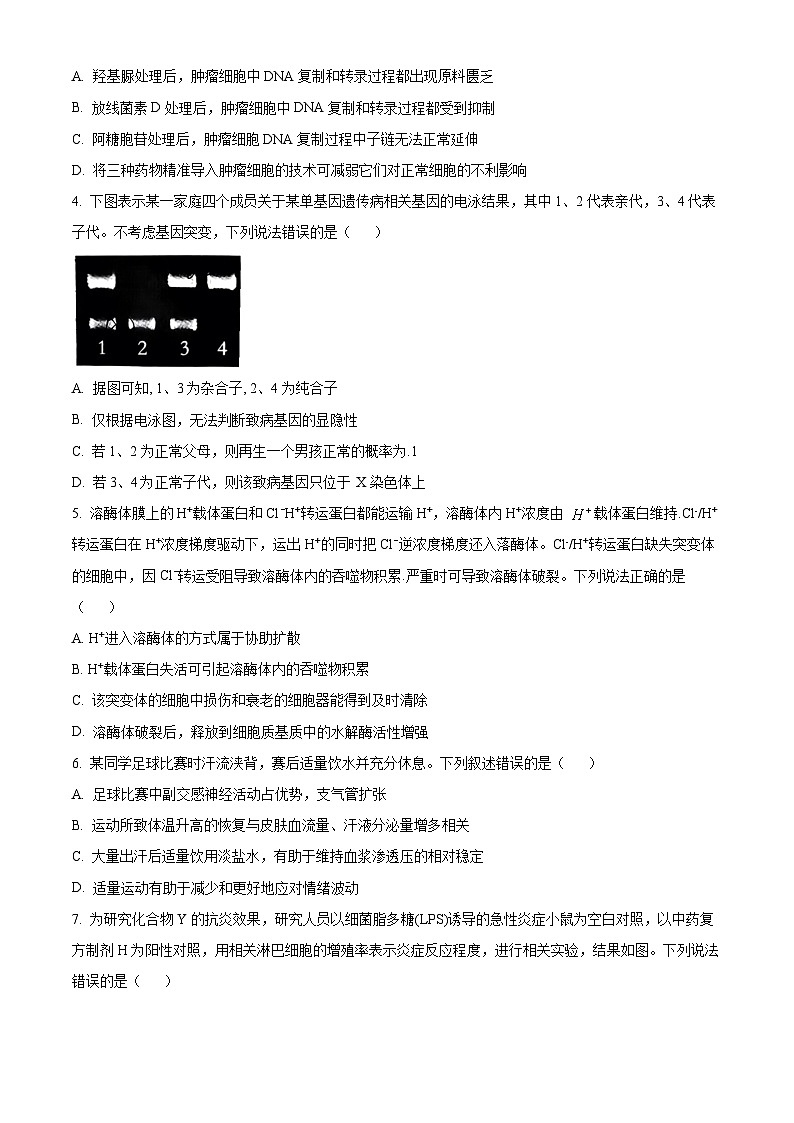 2025届湖南省益阳市一模生物试题 Word版无答案第2页