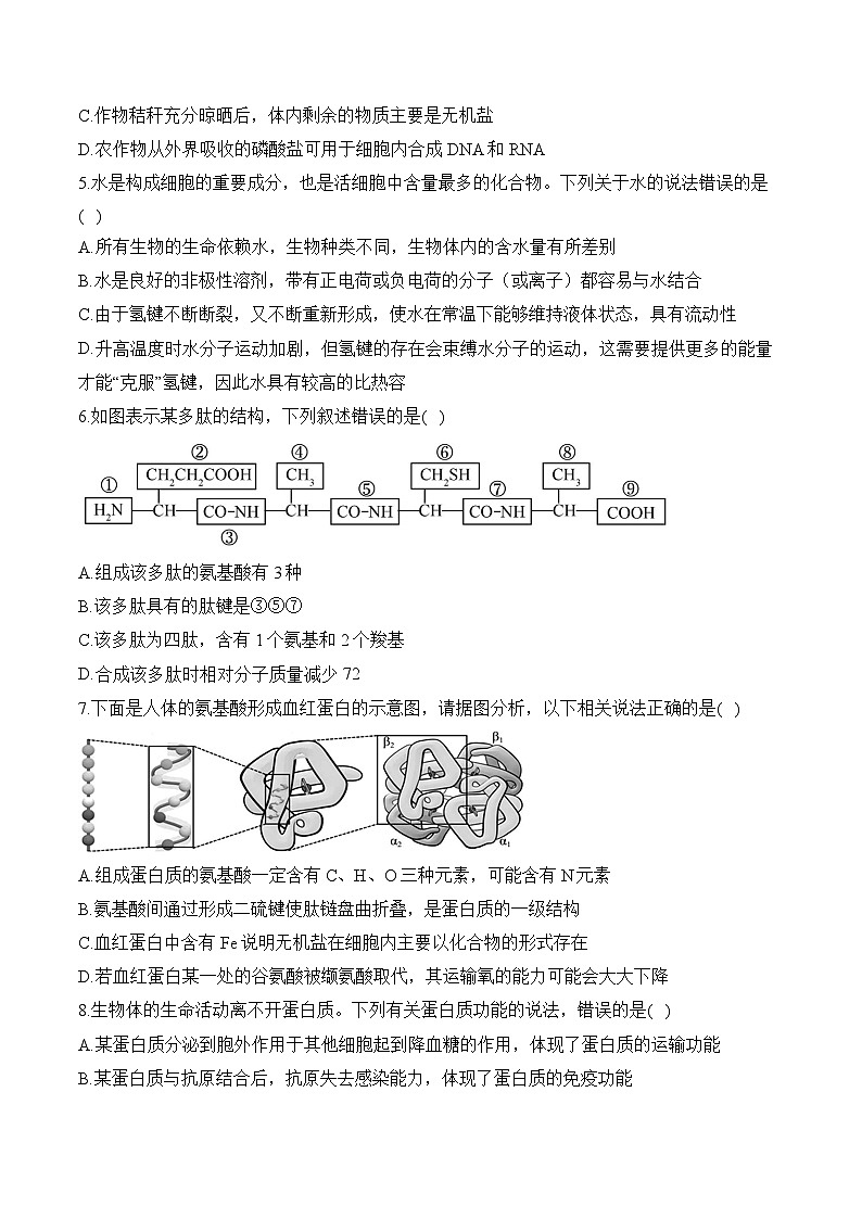 专题一 细胞的分子组成（含解析）-【考点剖析】2025届高考生物一轮复习考点剖析第2页