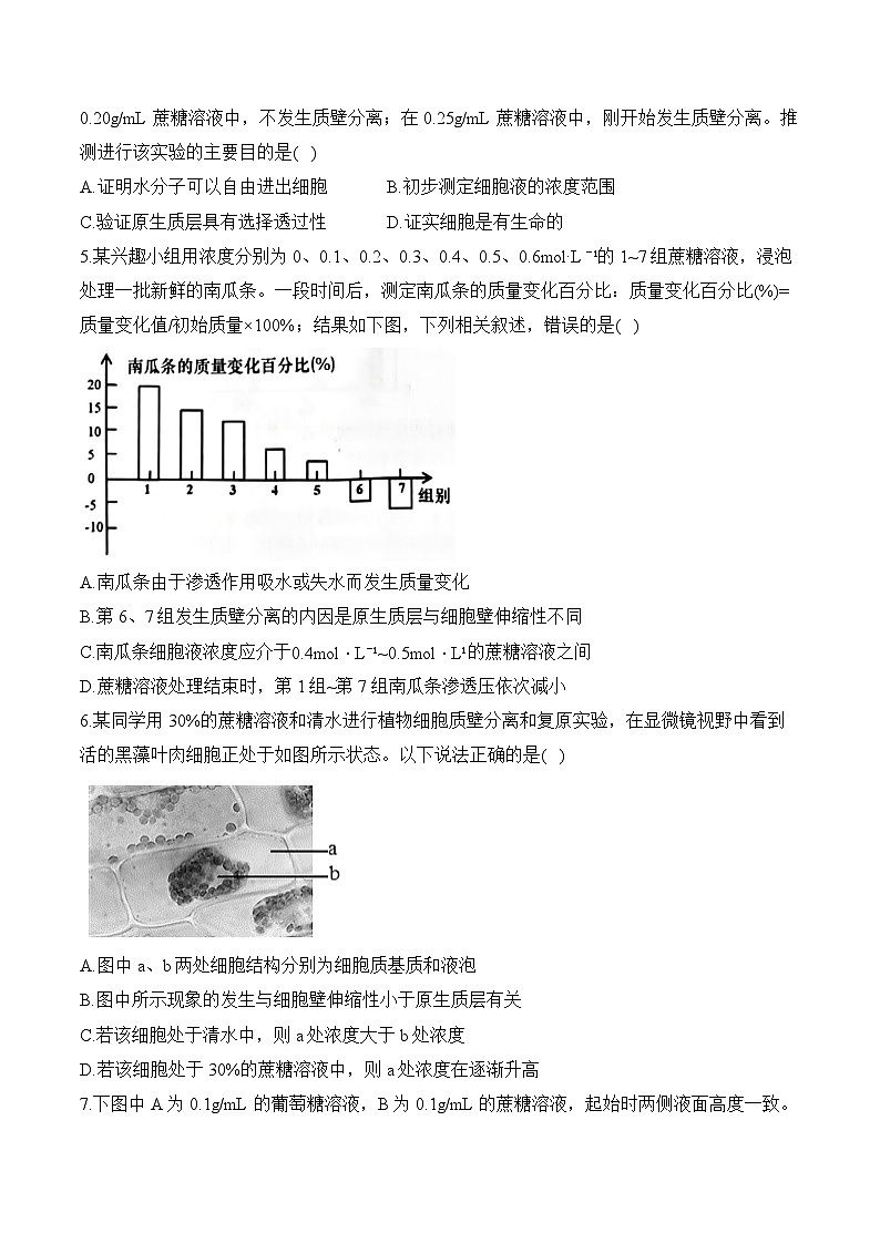 专题三 物质出入细胞的方式（含解析）-【考点剖析】2025届高考生物一轮复习考点剖析第2页