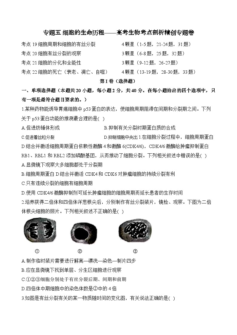 专题五 细胞的生命历程（含解析）-【考点剖析】2025届高考生物一轮复习考点剖析01