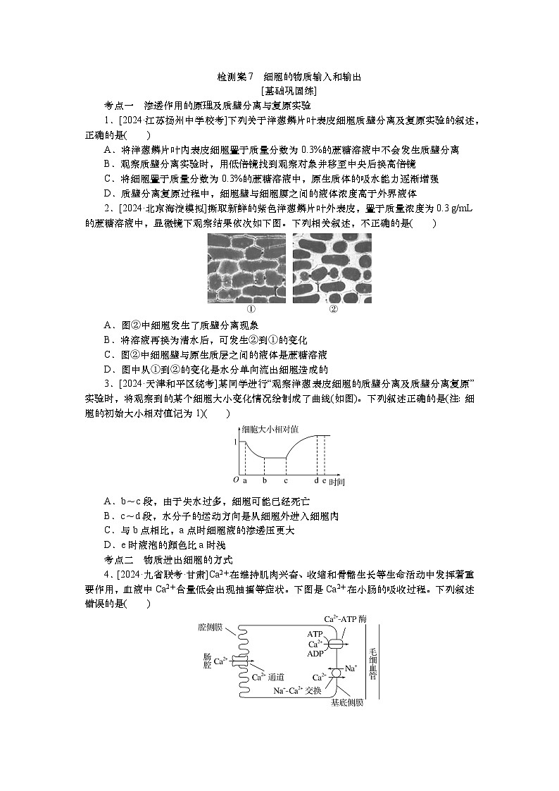 2025届高中生物一轮分层复习检测案7　细胞的物质输入和输出（含解析）01
