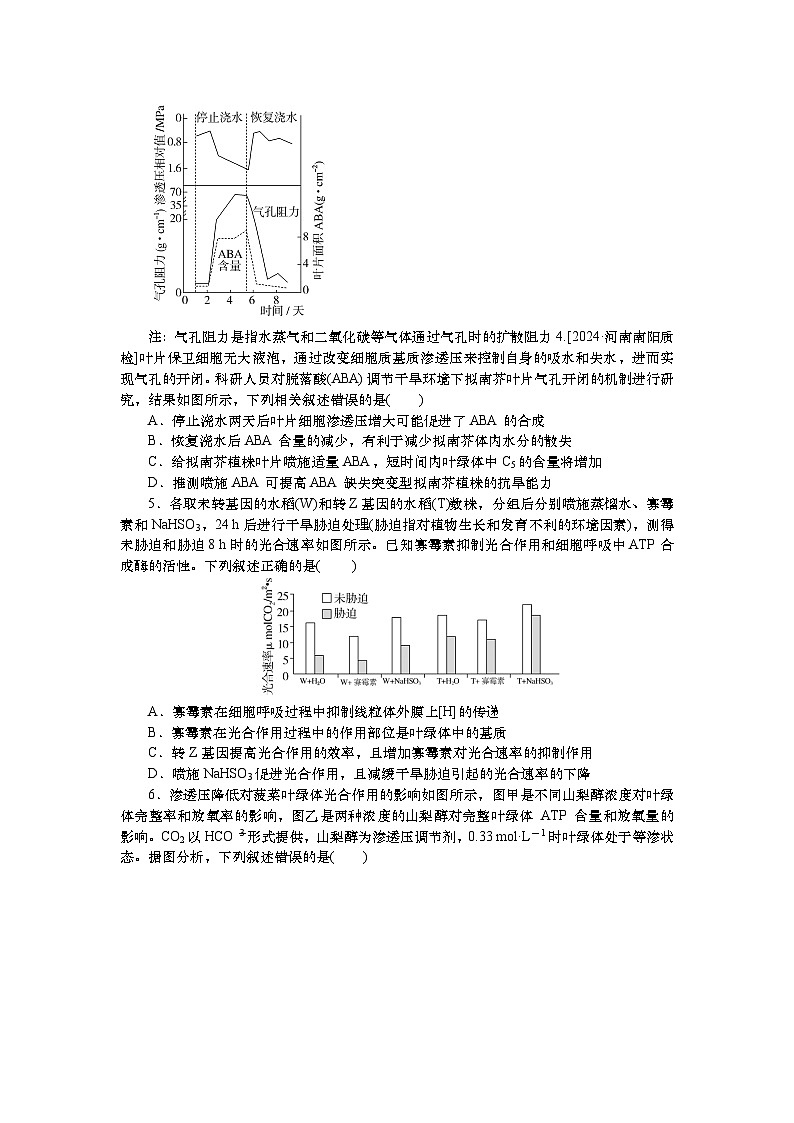 2025届高中生物一轮分层复习检测案11　光合作用(二)（含解析）02