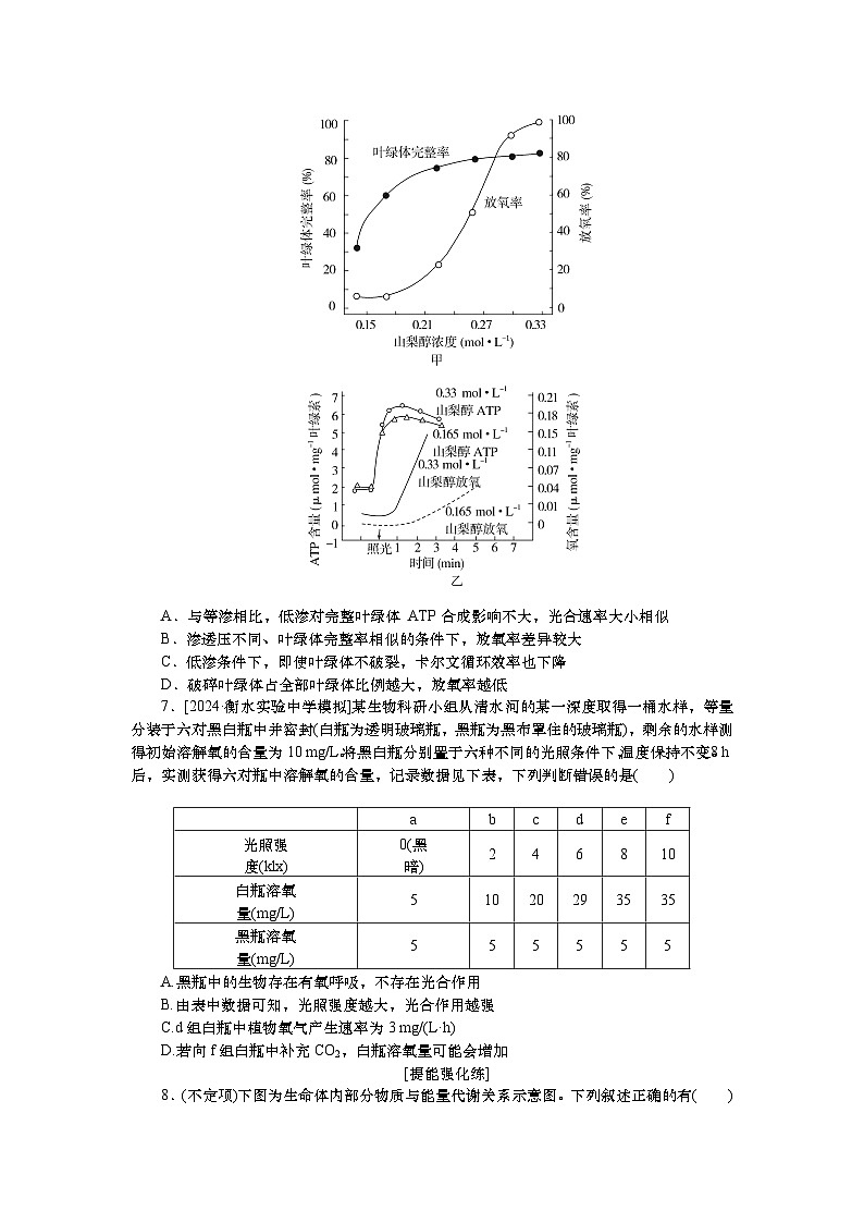 2025届高中生物一轮分层复习检测案11　光合作用(二)（含解析）03