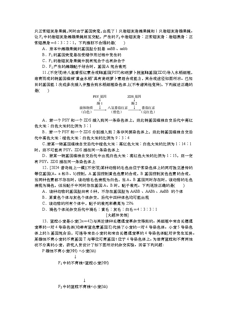2025届高中生物一轮分层复习检测案18　孟德尔的豌豆杂交实验(二)(2)（含解析）第3页