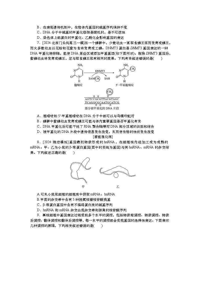 2025届高中生物一轮分层复习检测案22　基因指导蛋白质的合成及其与性状的关系（含解析）02
