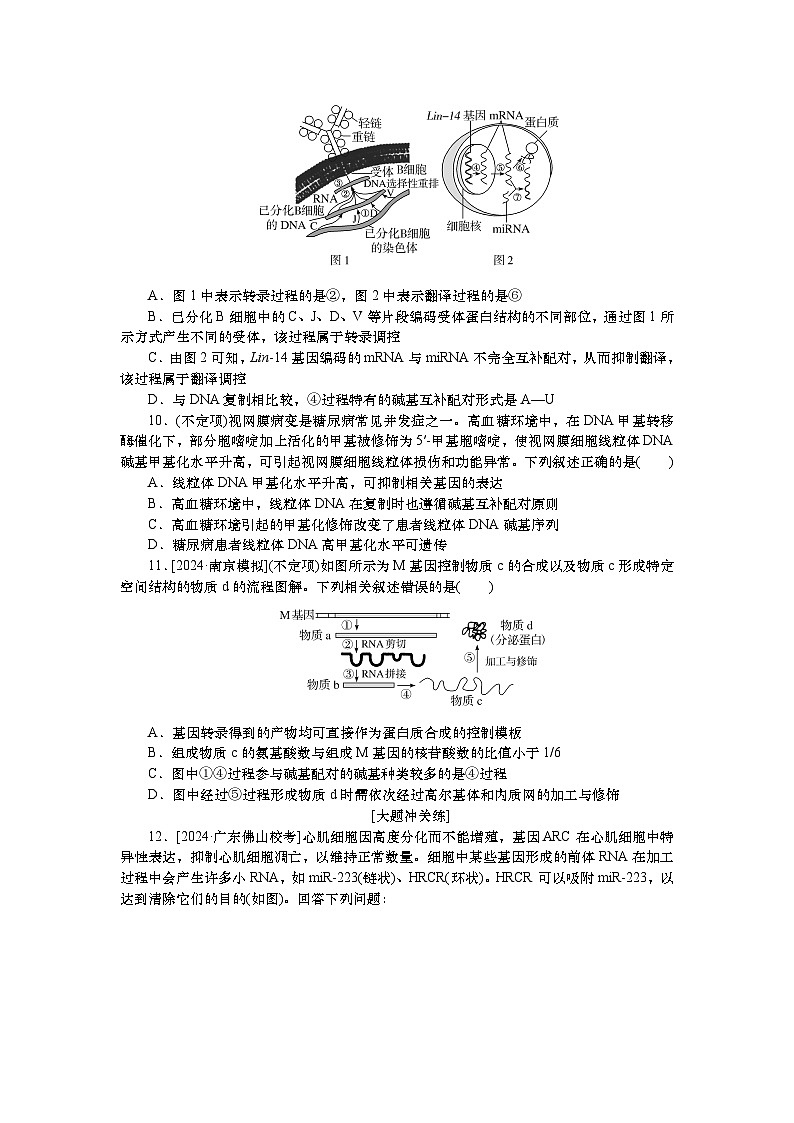 2025届高中生物一轮分层复习检测案22　基因指导蛋白质的合成及其与性状的关系（含解析）03