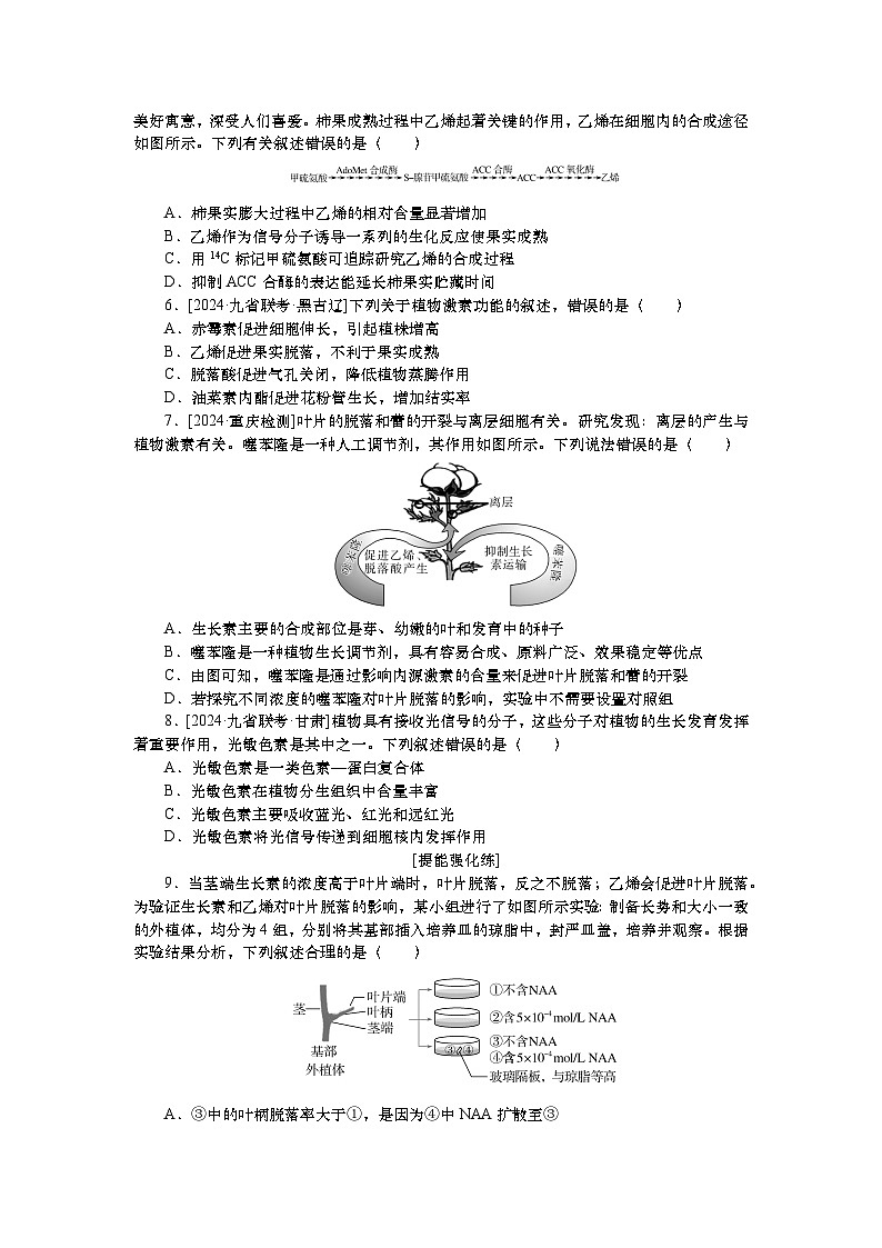 2025届高中生物一轮分层复习检测案31　植物的激素调节（一）（含解析）02