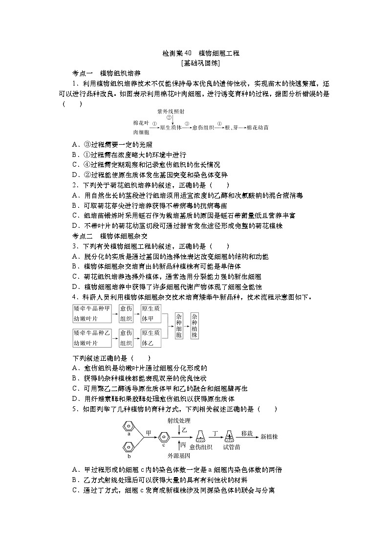 2025届高中生物一轮分层复习检测案40　植物细胞工程（含解析）01