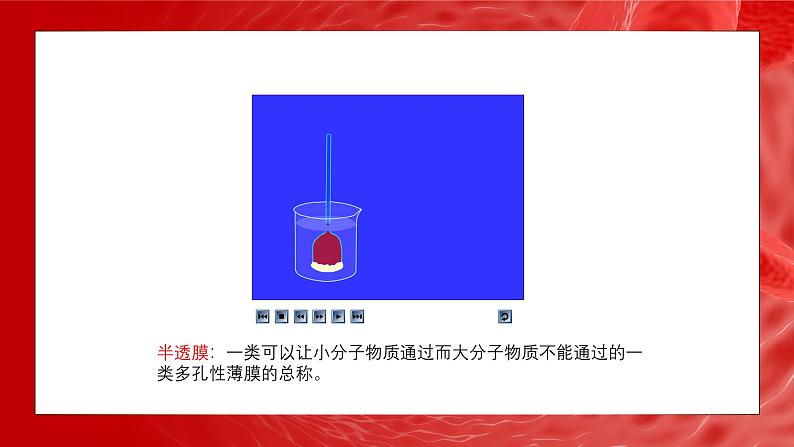 人教版生物高中必修一第4章 细胞的物质输入和输出第一节 被动运输 课件第6页