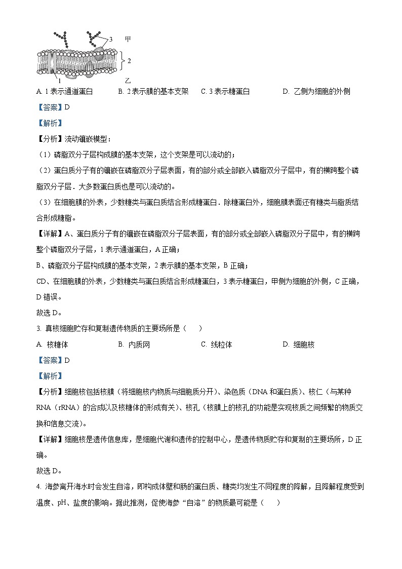 2024年北京市高中合格考生物（第一次）试题  Word版含解析第2页