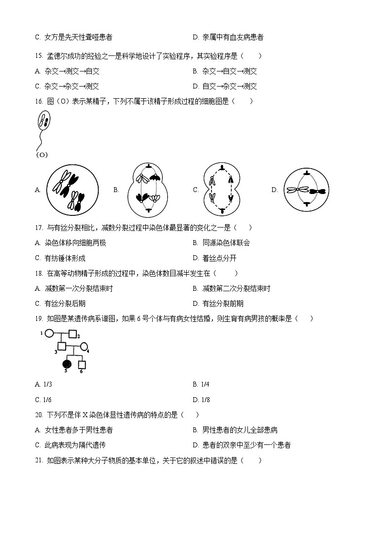 北京市门头沟区大峪中学2023-2024学年高一下学期期中考试生物试卷（Word版附解析）03