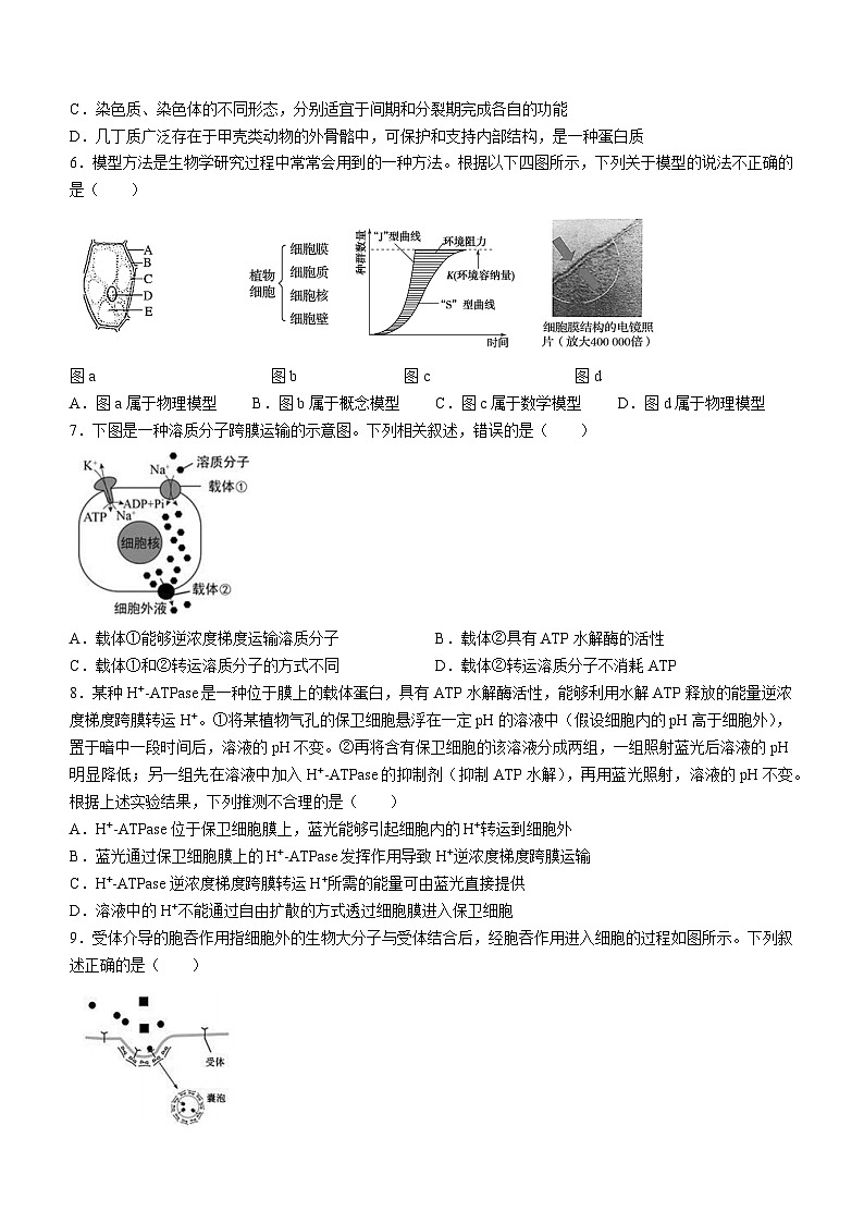 甘肃省兰州第一中学2024-2025学年高三上学期开学考试生物试卷（Word版附答案）02