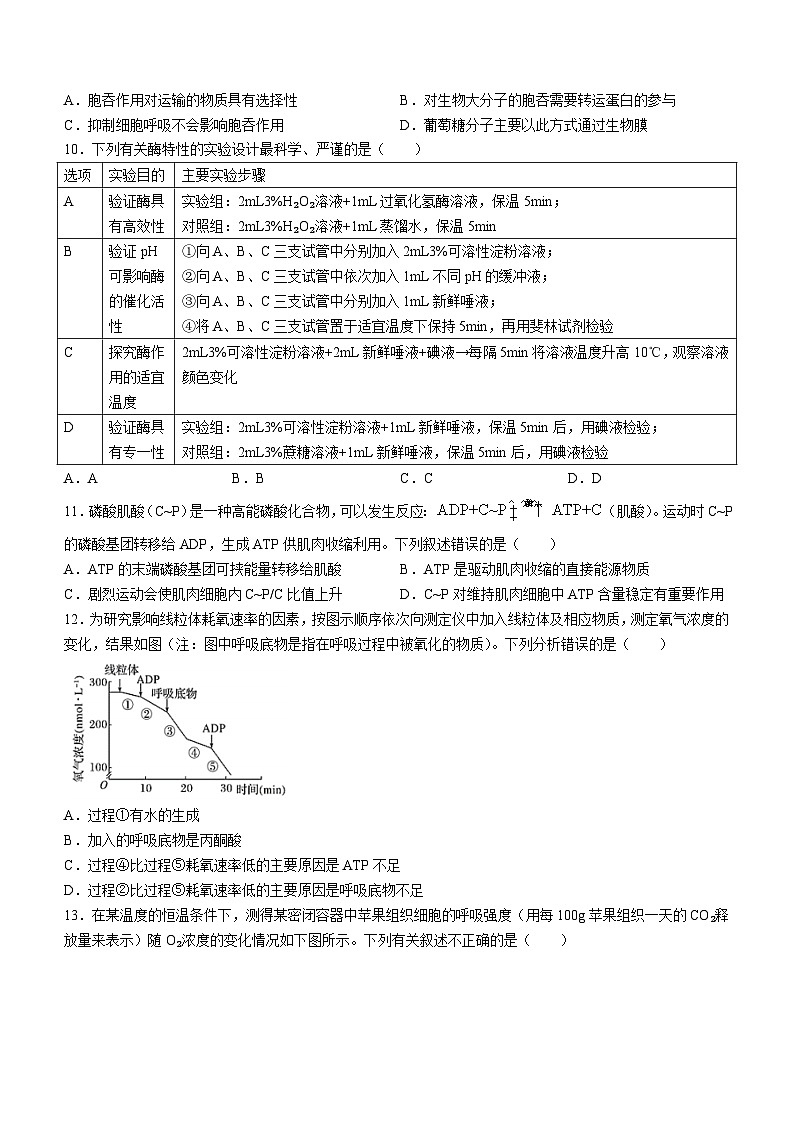 甘肃省兰州第一中学2024-2025学年高三上学期开学考试生物试卷（Word版附答案）03