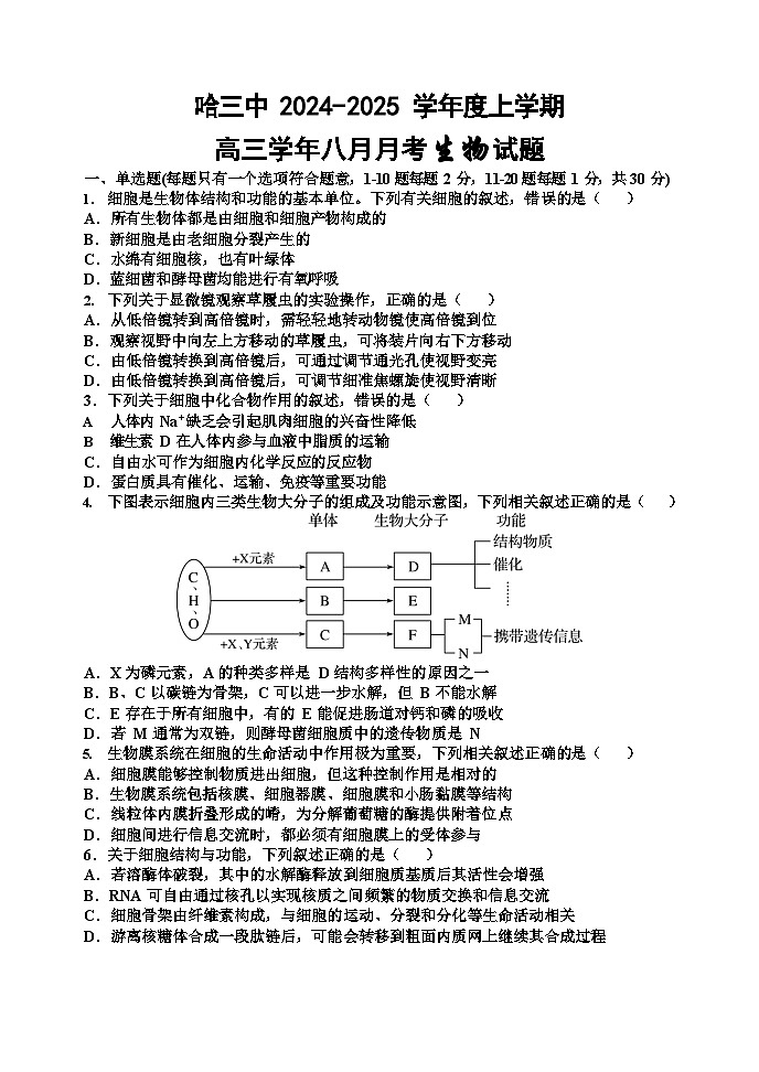 黑龙江省哈尔滨市第三中学2024-2025学年高三上学期8月月考生物试卷（Word版附答案）01