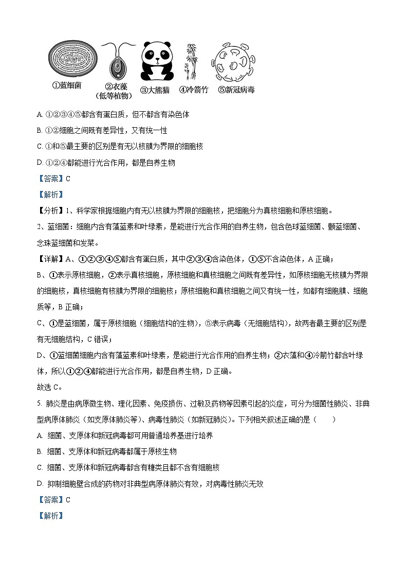 湖北省孝感高级中学2024-2025学年高一上学期开学考试生物试卷（Word版附解析）03